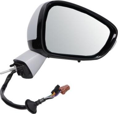 BLIC 5402-21-046364P - Наружное зеркало abcparts.ee