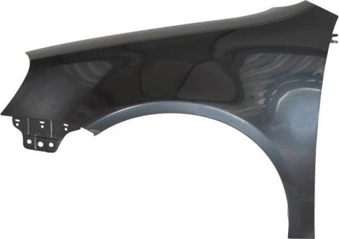 BLIC 6504-04-9524311 LC5F - Крыло abcparts.ee