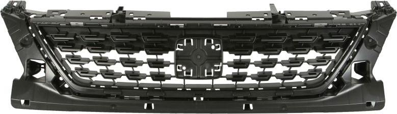 BLIC 6502-07-6619990Q - Решетка радиатора abcparts.ee