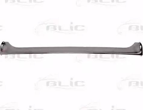 BLIC 6502-07-6050991P - Облицовка / защитная накладка, облицовка радиатора abcparts.ee