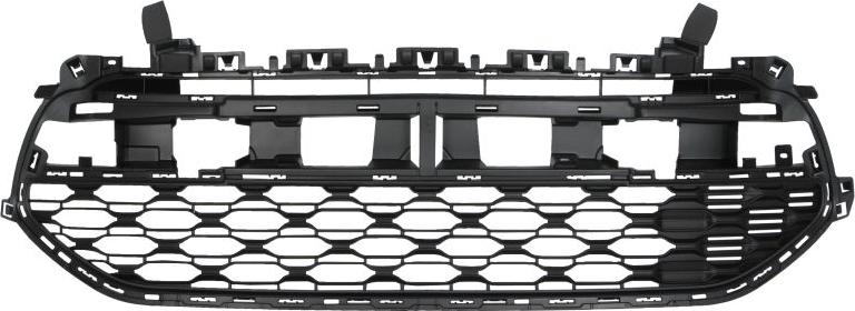 BLIC 6502-07-0538995Q - Решетка радиатора abcparts.ee