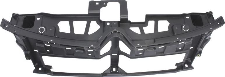 BLIC 6502-07-0538996P - Решетка радиатора abcparts.ee