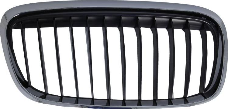 BLIC 6502-07-0071996SP - Решетка радиатора abcparts.ee