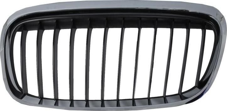 BLIC 6502-07-0071997SP - Решетка радиатора abcparts.ee