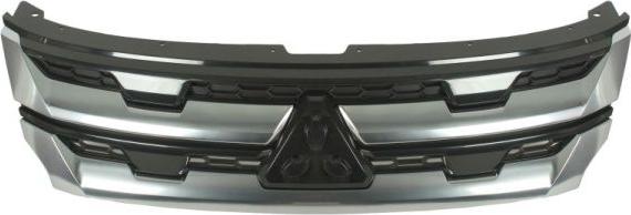 BLIC 6502-07-3751996P - Radiaatorivõre abcparts.ee