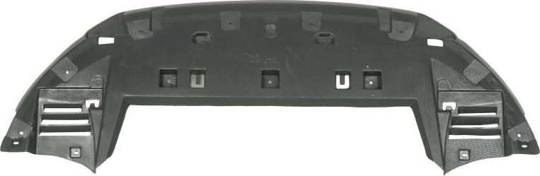 BLIC 6601-02-0539880P - Кожух двигателя abcparts.ee