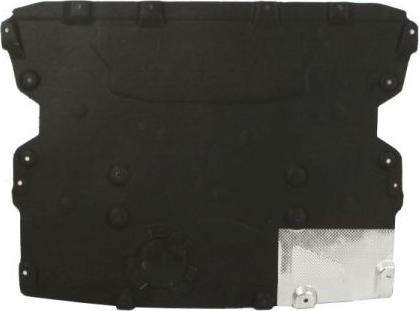 BLIC 6601-02-0097861P - Защита двигателя / поддона двигателя abcparts.ee