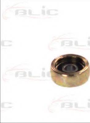 BLIC 6003-00-0072P - Направляющая ролика, сдвижная дверь abcparts.ee