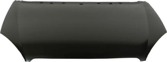 BLIC 6803-00-0524280P - Капот двигателя abcparts.ee