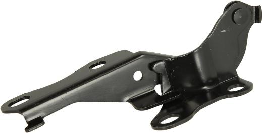 BLIC 6802-00-8161451P - Шарнир, капот abcparts.ee