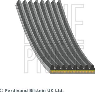 Blue Print AD08A1055 - Поликлиновой ремень abcparts.ee