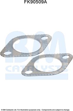 BM Catalysts FK90509 - Монтажный комплект, катализатор abcparts.ee