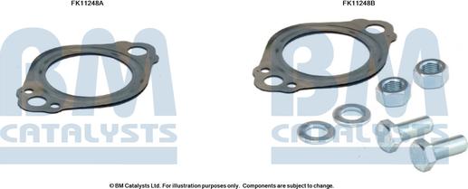 BM Catalysts FK11248 - Монтажный комплект, сажевый / частичный фильтр abcparts.ee