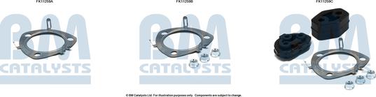 BM Catalysts FK11259 - Монтажный комплект, сажевый / частичный фильтр abcparts.ee