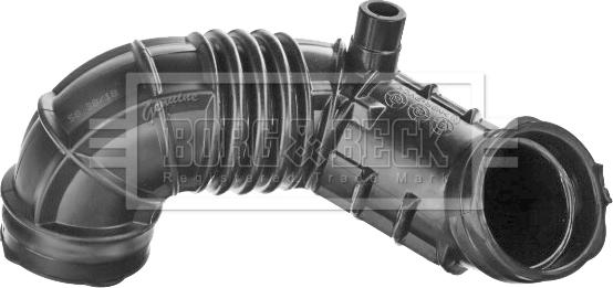 Borg & Beck BTH1499 - Рукав воздухозаборника, воздушный фильтр abcparts.ee