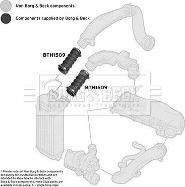 Borg & Beck BTH1509 - Трубка, нагнетание воздуха abcparts.ee