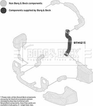 Borg & Beck BTH1215 - Трубка, нагнетание воздуха abcparts.ee