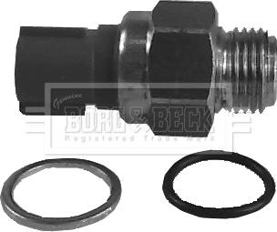 Borg & Beck BTS829.99 - Термовыключатель, вентилятор радиатора / кондиционера abcparts.ee