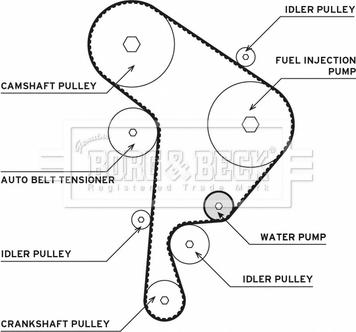 Borg & Beck BTW1005 - Водяной насос + комплект зубчатого ремня ГРМ abcparts.ee