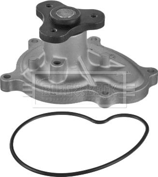 Borg & Beck BWP2401 - Водяной насос abcparts.ee