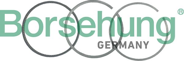 Borsehung B19049 - Комплект поршневых колец abcparts.ee