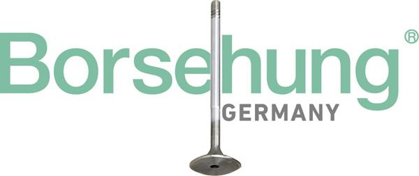 Borsehung B10345 - Комплект поршневых колец abcparts.ee