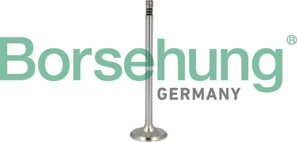 Borsehung B10346 - Комплект поршневых колец abcparts.ee