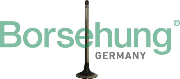 Borsehung B10333 - Выпускной клапан abcparts.ee