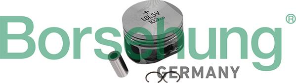 Borsehung B18994 - Комплект поршневых колец abcparts.ee