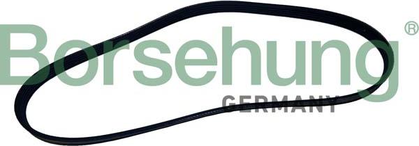 Borsehung B12499 - Поликлиновой ремень abcparts.ee