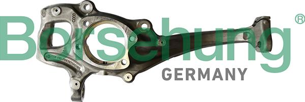 Borsehung B12111 - Поворотный кулак, подвеска колеса abcparts.ee