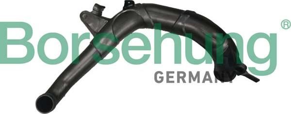 Borsehung B12350 - Трубка, нагнетание воздуха abcparts.ee