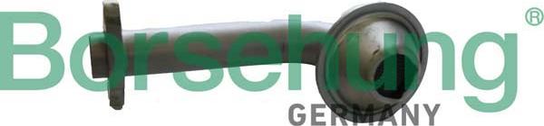 Borsehung B12307 - Сетчатый фильтр, впускной провод масляного насоса abcparts.ee