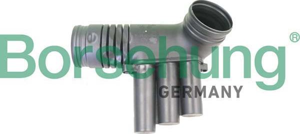 Borsehung B12330 - Рукав воздухозаборника, воздушный фильтр abcparts.ee