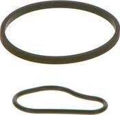 BOSCH F 009 D00 783 - Ремкомплект, главный тормозной цилиндр abcparts.ee