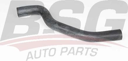 BSG BSG 65-700-489 - Шланг радиатора abcparts.ee