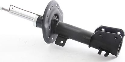 BSG BSG 25-300-017 - Амортизатор abcparts.ee