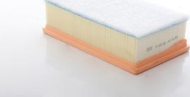 BSG BSG 70-135-024 - Воздушный фильтр двигателя abcparts.ee