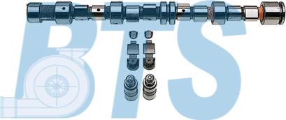 BTS Turbo CP62210 - Комплект распредвала abcparts.ee