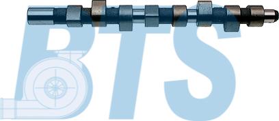 BTS Turbo CP16323 - Распредвал abcparts.ee