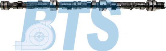 BTS Turbo CP10614 - Распредвал abcparts.ee