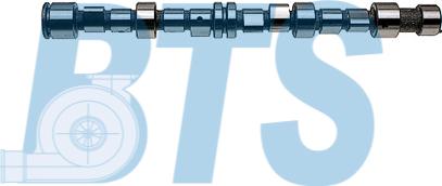 BTS Turbo CP12255 - Распредвал abcparts.ee