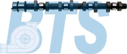 BTS Turbo CP17605 - Распредвал abcparts.ee