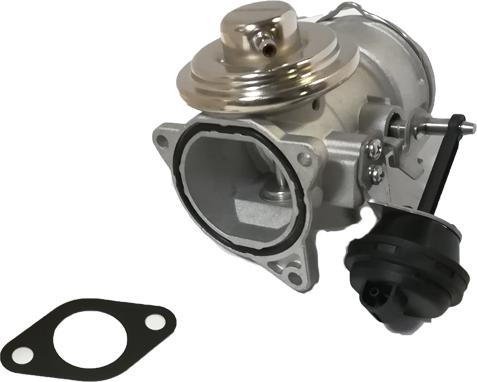 Bugiad BGR13007 - Клапан возврата ОГ abcparts.ee