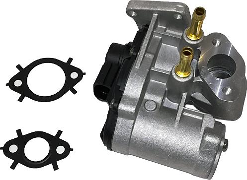 Bugiad BGR13010 - Клапан возврата ОГ abcparts.ee