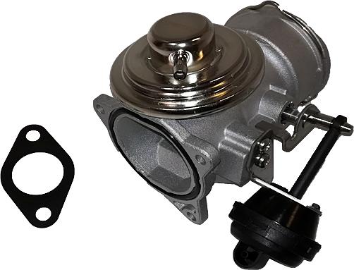 Bugiad BGR13013 - Клапан возврата ОГ abcparts.ee