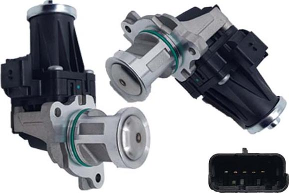 Bugiad BGR13088 - Клапан возврата ОГ abcparts.ee