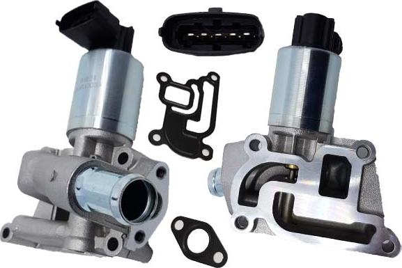 Bugiad BGR13039 - Клапан возврата ОГ abcparts.ee