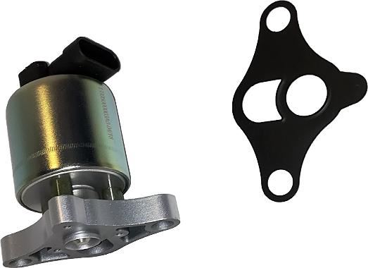 Bugiad BGR13028 - Клапан возврата ОГ abcparts.ee