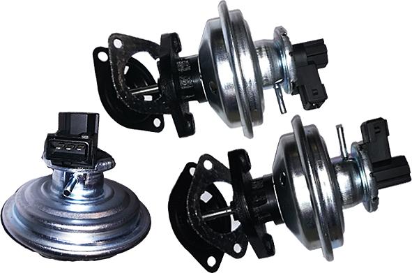 Bugiad BGR13076 - Клапан возврата ОГ abcparts.ee